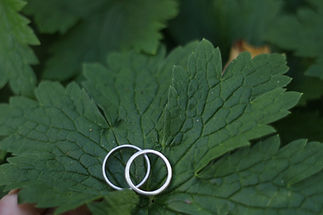 Chen&Michele (660)-1.jpg