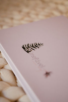 Álbum Natal (12).jpg