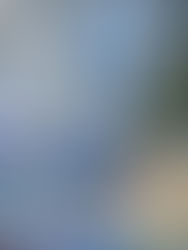 🌦️ Weather Forecast: Sunday, September 7