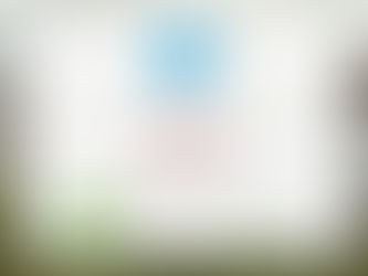 Warum einen Welpen vom VDH-Züchter?