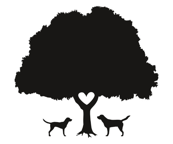 Autorenbild: Oakmore – Labrador Retriever