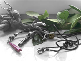 Pfeifenkommandos im Dummytraining