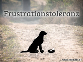 Die Frustrationstoleranz