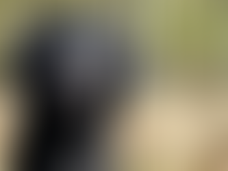 Video: Ennie vom Sandhorster Loog