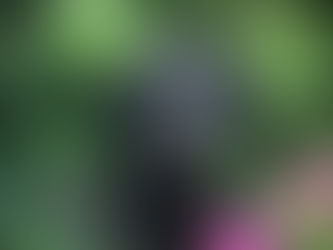 Montys 3. Geburtstag