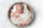 Photographe naissance Rennes
