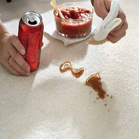 Guia de Manutenção do seu Carpete