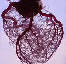 AEnB2UrWTqCjzPWqVamqmOTh8R9-ilmUrRc4-amM