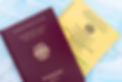 International Travel Documents For Shared Private Jet Flights With Pets