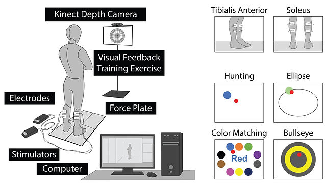 experimental_setup_edited.jpg