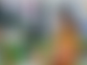 PERMESSI DIRITTO ALLO STUDIO 2025 (150 ORE): PRESENTAZIONE DELLA DOMANDA QUANDO POSSIBILE? SCOPRIAMOLO INSIEME (CIRCOLARE E MODELLO)