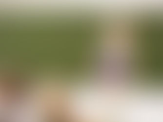 PERCORSI ABILITANTI 2024/2025 SECONDO CICLO: LE ATTIVITÁ DIDATTICHE SI SVOLGERANNO TELEMATICAMENTE? IN QUALE PERCENTUALE? I TIROCINI ED I LABORATORI RAPPRESENTANO DELLE ECCEZIONI? FACCAIMO CHIAREZZA 