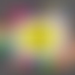 GAE 2026/2028: ecco le graduatorie pubblicate utili per il 50% delle immissioni in ruolo. Tutti gli Avvisi degli USR (IN AGGIORNAMENTO)