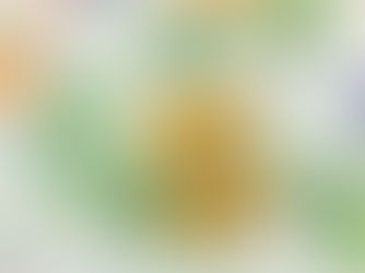 Stipendi Docenti e ATA: l'accredito di aumenti e arretrati quando arriverà a seguito della firma definitiva del CCNL Scuola? Facciamo chiarezza insieme distinguendo gli importi lordi da quelli netti