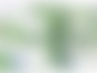 BONUS NATALE DOCENTI E ATA, AL VIA DA OGGI LE DOMANDE. ECCO LE MODALITÁ PER INOLTRARE LE ISTANZE SENZA COMMETTERE ERRORI. FACCIAMO CHIAREZZA