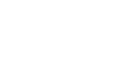 synex.png