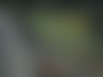 An unplanned encounter with a Wombat Down under.