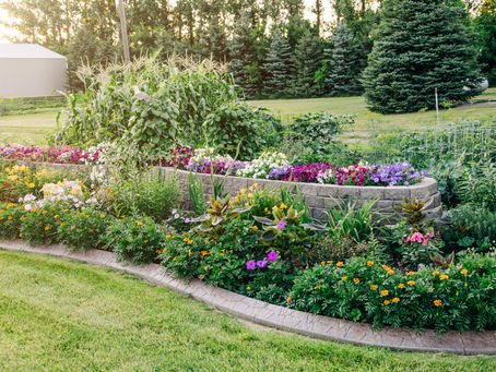Expert Tips for Maintaining and Preserving Your Concrete Edging Investment