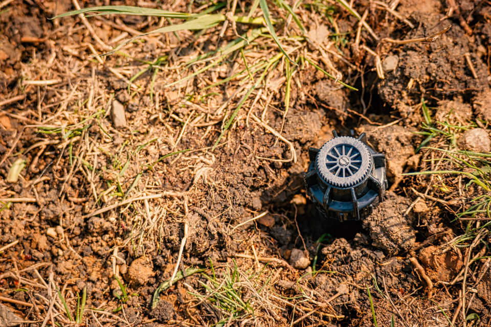 AdobeStock_431210908.jpeg