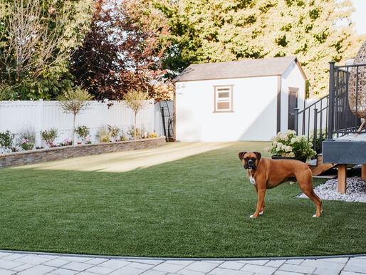 Why Utah Dog Owners Choose Artificial Grass