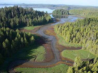 bc14_pr_01713.jpg