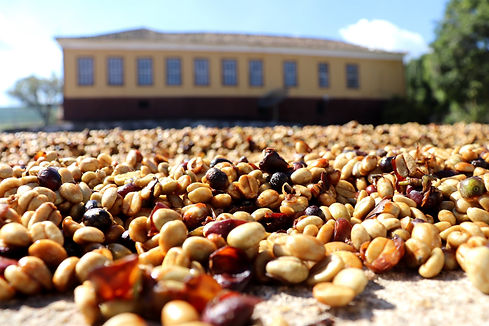 fazenda-bom-jardim-14_1.jpeg