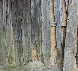 Termite Control