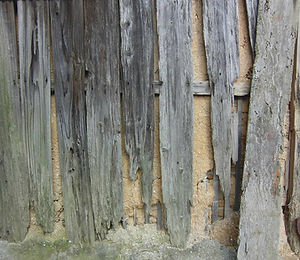 Termite Control