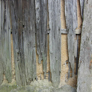 Termite Control