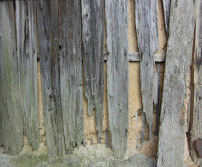 Termite Inspection and Termite Treatment