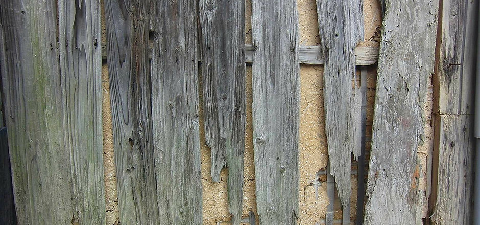 Termite Control