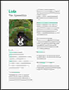 Coordinadora-monitora campamento de verano NewPa