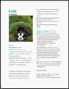 Coordinadora-monitora campamento de verano NewPa