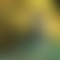 🐰 Feeling Stuck? Meet Your Inner Bunny (aka the Anxiety Ninja) 🐰