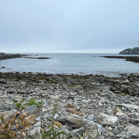 Waltzing With Lake Michigan and Other Water-Based Practices