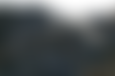 Anxiety Saves Lives: Mamma Bear to the Rescue (Cambridge, MA)