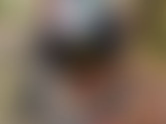 Tuesday with the Pack: Training, Grooming, and Canine Chaos A Chronicle of Life with Four Collies and a Terrier 