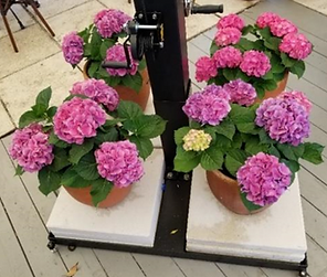 Screenshot 2024-04-23 at 6.44.09 PM.png