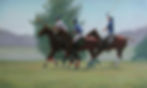 PoloPonies.jpg