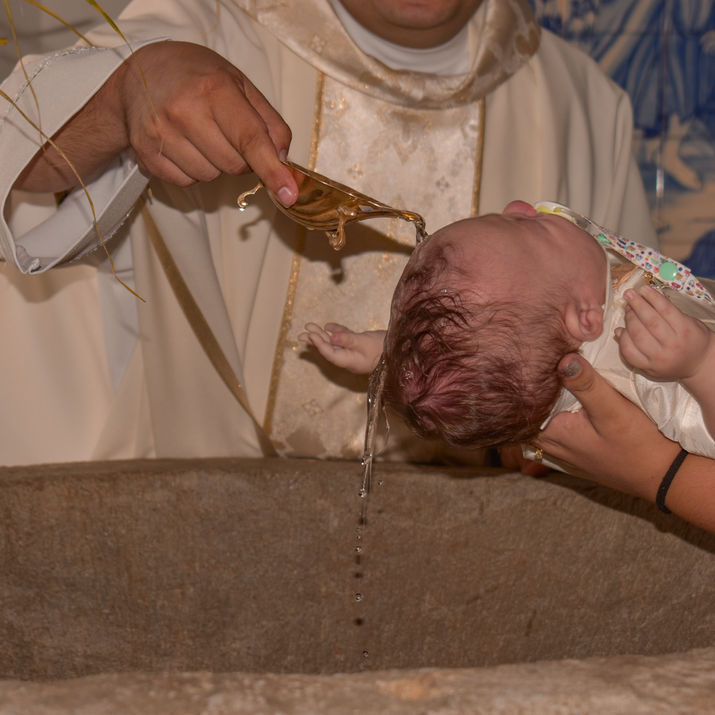 DSC_6633.JPG
