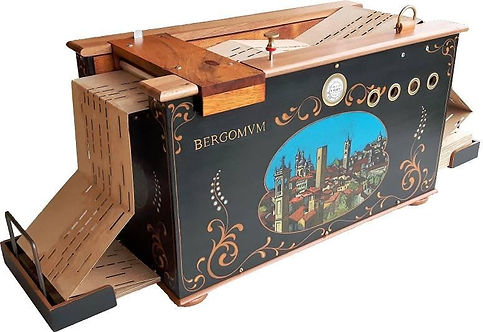 organetto immagine scontornata.JPG