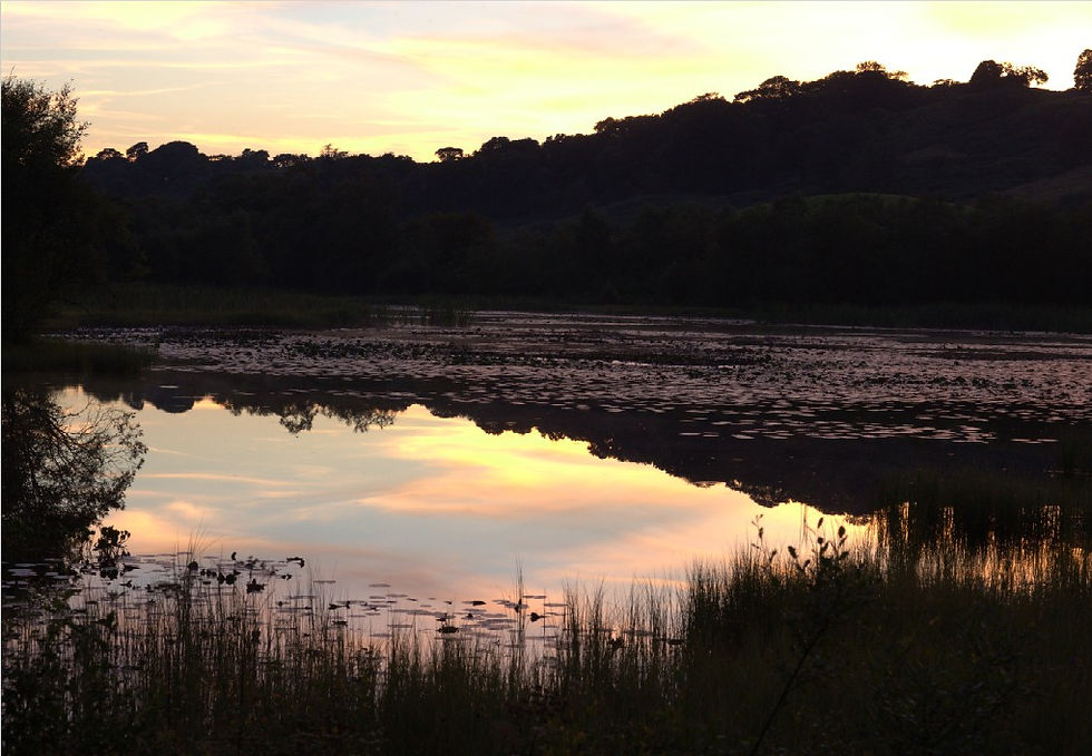 loch4.jpg