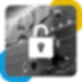 IMG_CGS_SERIE_I.png