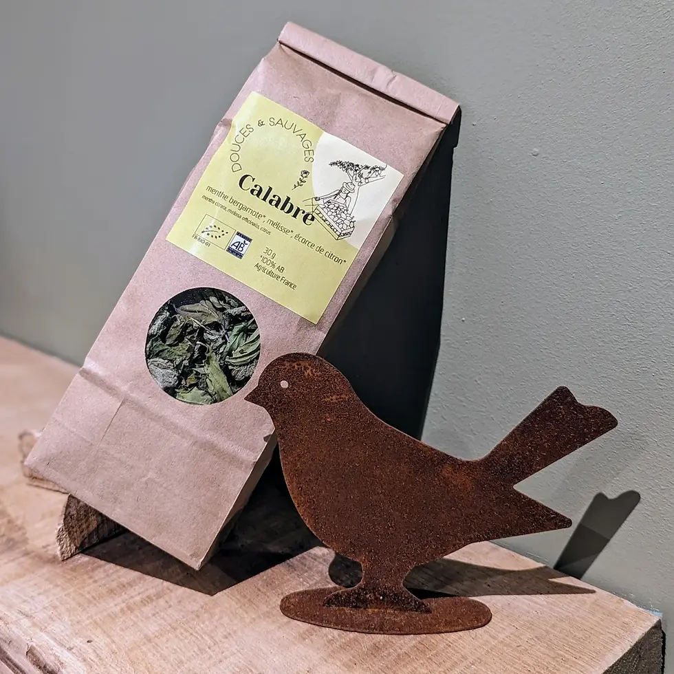 Miniature : Tisane Calabre