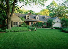 front yard.jpg