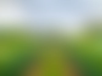 テキサスワインの2大ワイナリーを招いたメーカーズディナーを開催