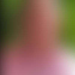 What do I stand for....?