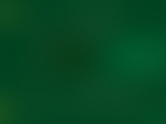 Brève cartographique #20