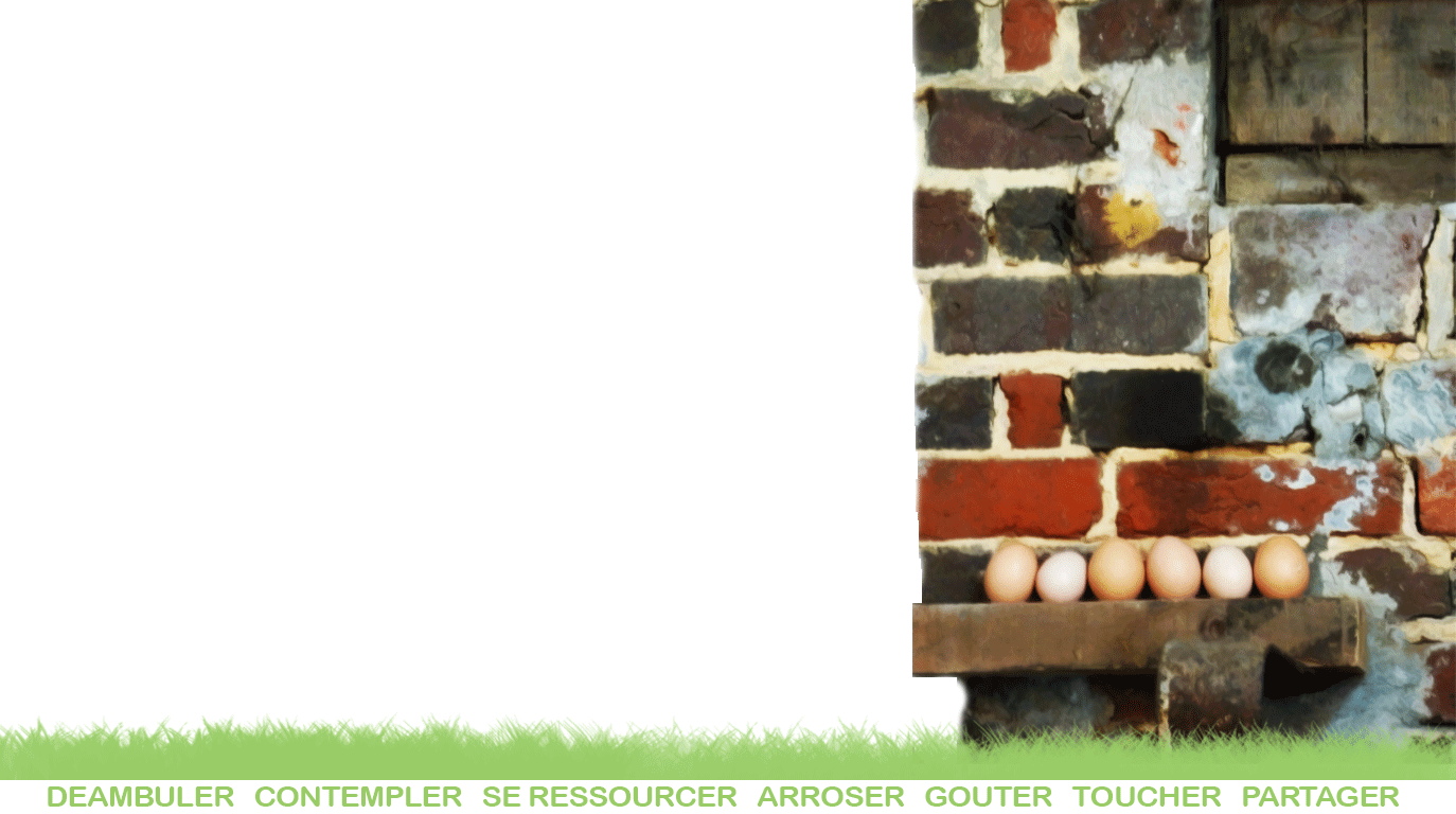 Image représentant un mur de briques avec la mention : qui sommes-nous ?