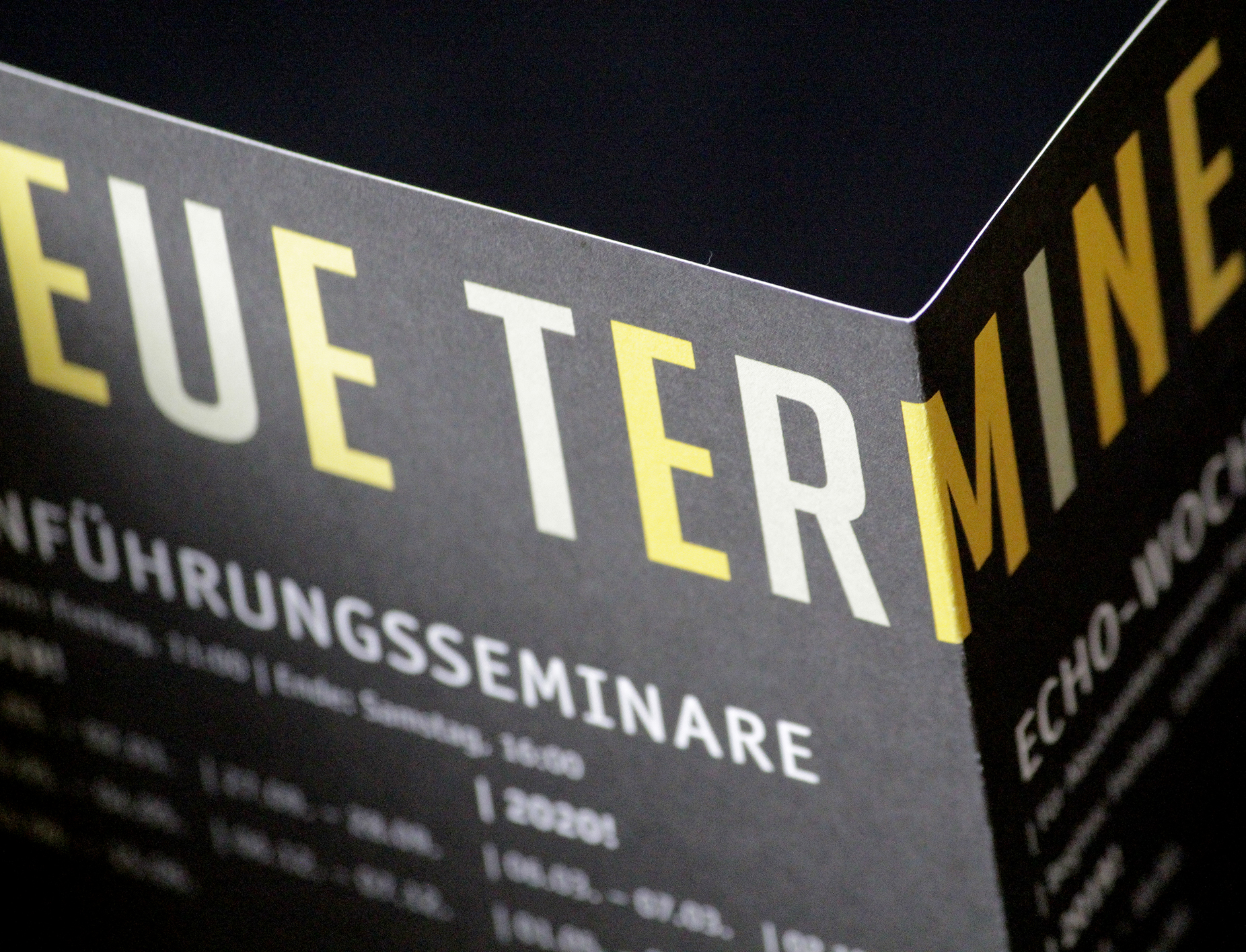 Erscheinungsbild